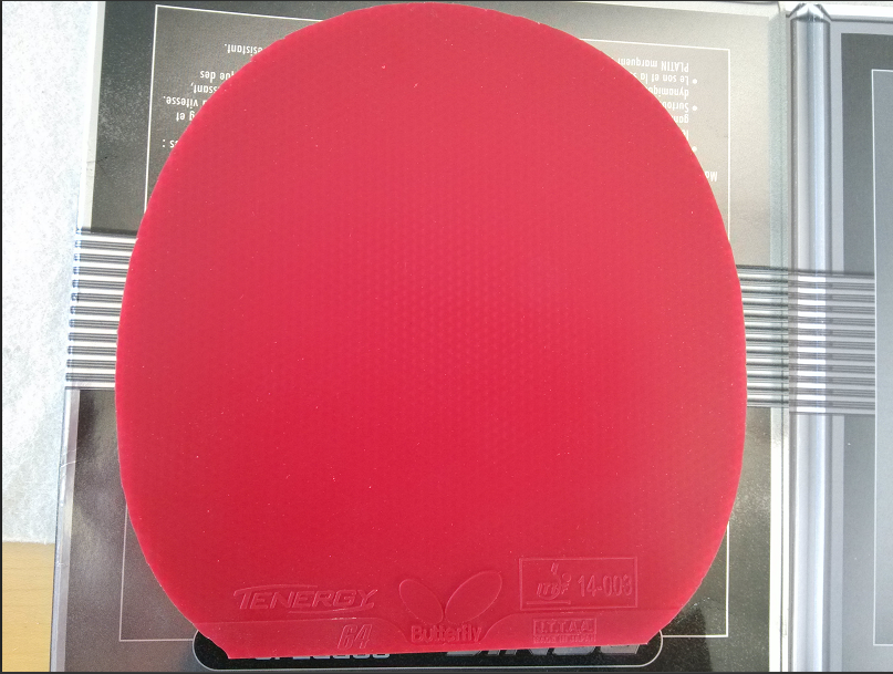 ����һ�����׺͹��ױ��˳��ˣ�ÿ���Ű��տ죡