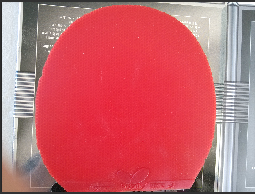 ����һ�����׺͹��ױ��˳��ˣ�ÿ���Ű��տ죡