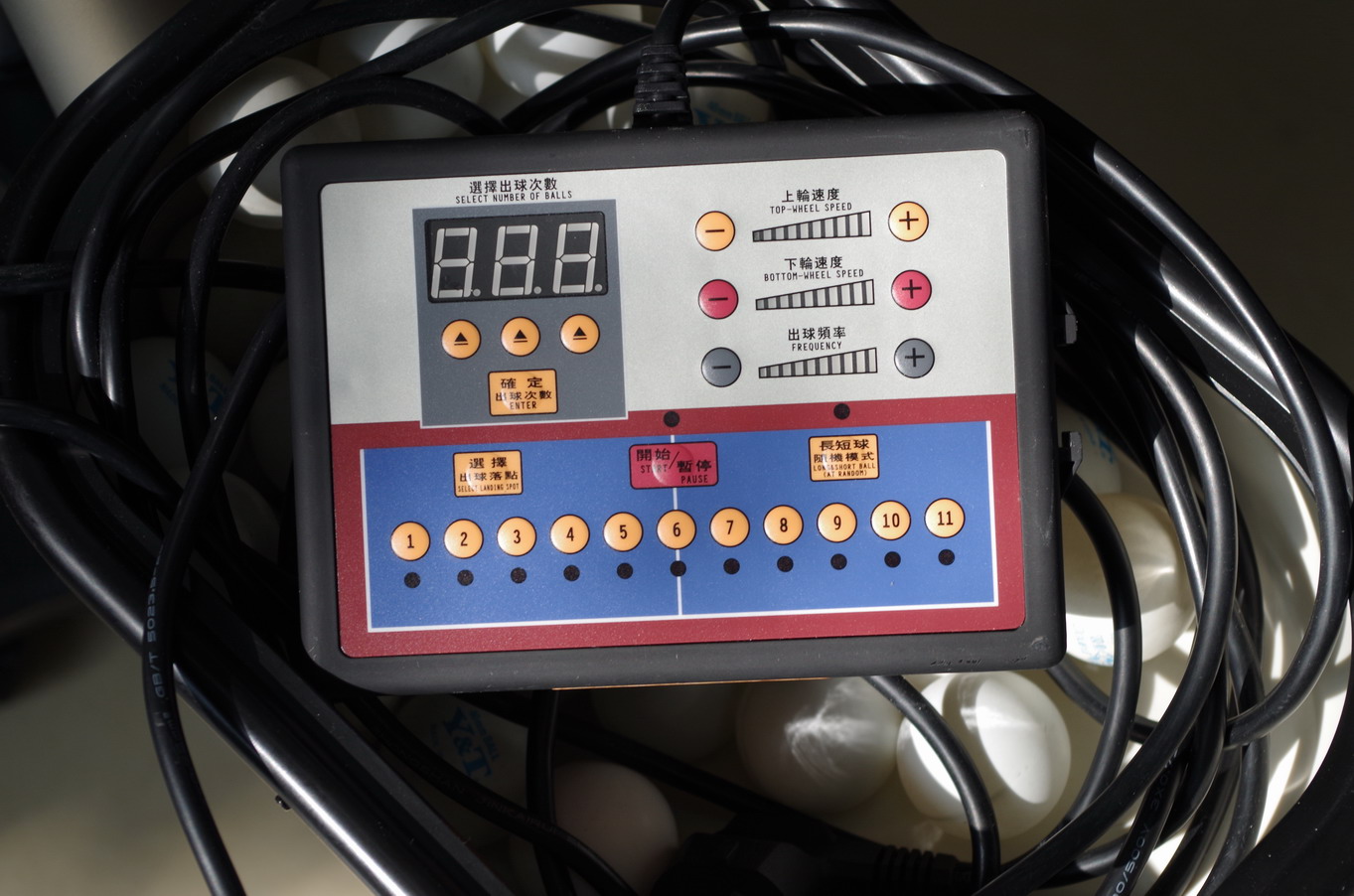 ���������̩��989E֧��������