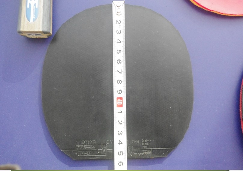 ��ELP    5Q     ���˳�������������