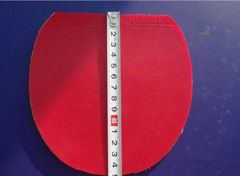 ��ELP    5Q     ���˳�������������