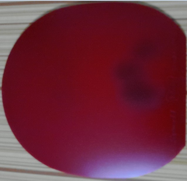 �������ã�����Sriver EL ��ɫ2.1mm ƹ���򷴽��׽�