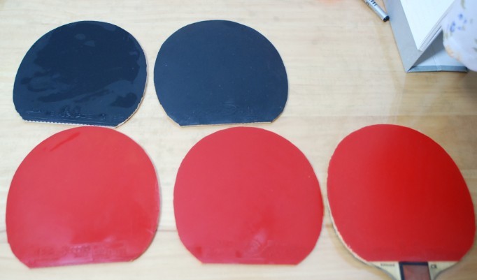 ���Ź����׽���������