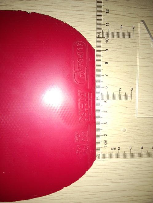 [ԭ��]  ���ѳ���ɫŷ����4�����������ɣ�