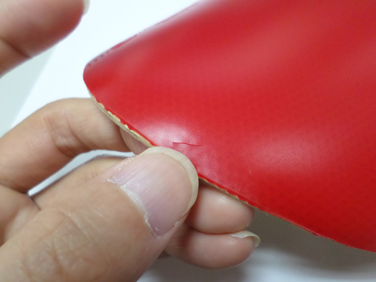 �����׵�F1