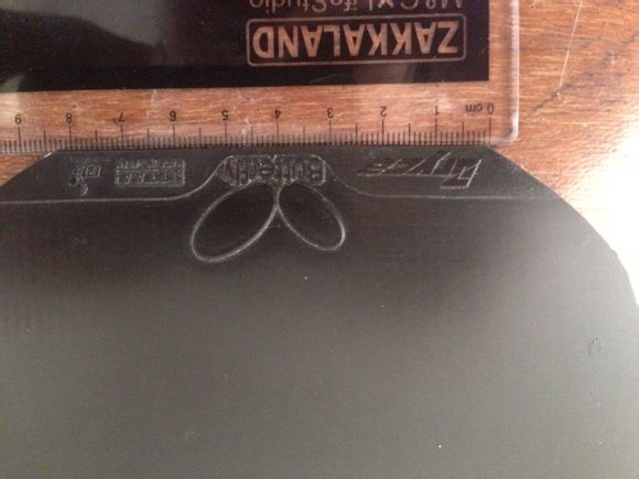 @@@@@@[����]180���ʣ�9.5�׽� �������Bryce ��ɫ@@@@@@