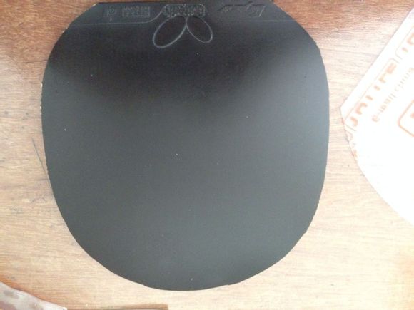 @@@@@@[����]180���ʣ�9.5�׽� �������Bryce ��ɫ@@@@@@