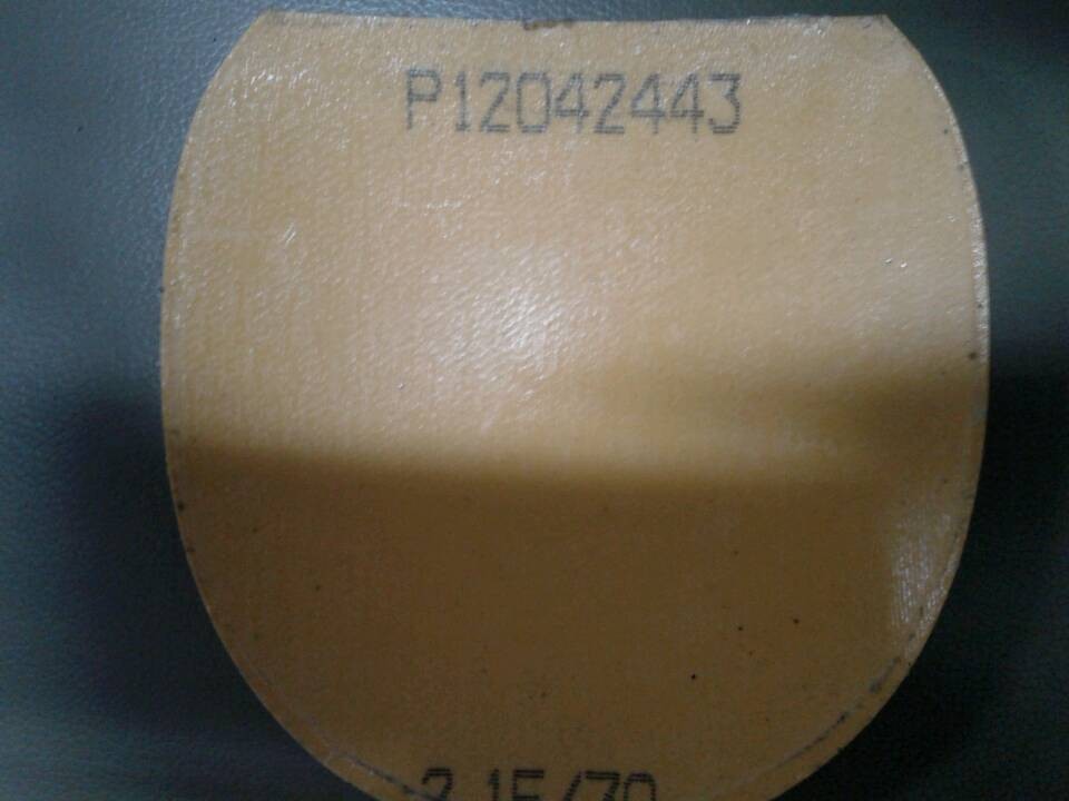 �ؼ۳�el��neo�켫������05�������ѳ�����