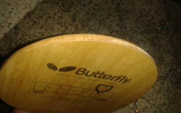 ����˭Ҫ �Ʊ���