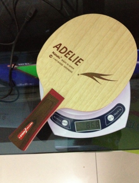 600���ʳ�ֻ��������εĺ�����