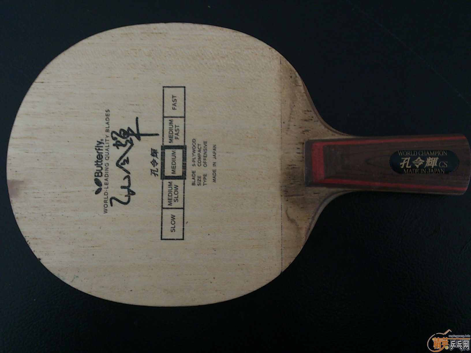 [�Ƽ�]��3ֻ�����������루�׷�̼����ľ��Spinart-cs��