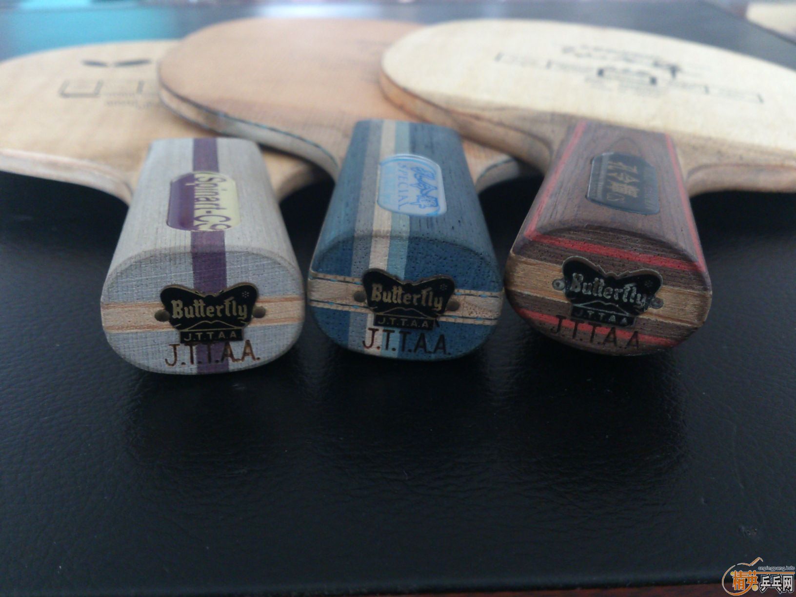 [�Ƽ�]��3ֻ�����������루�׷�̼����ľ��Spinart-cs��