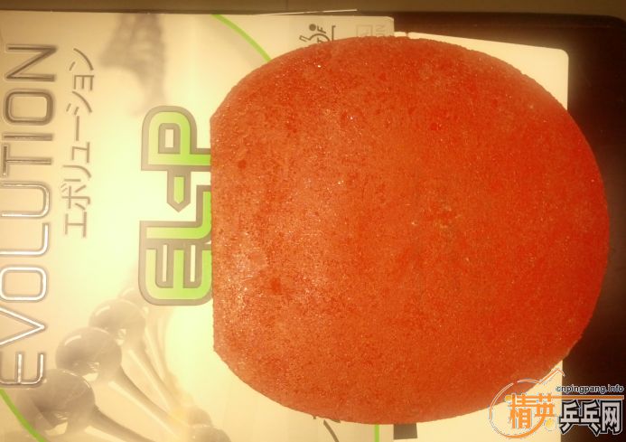 ����ɫͦ�α��elp