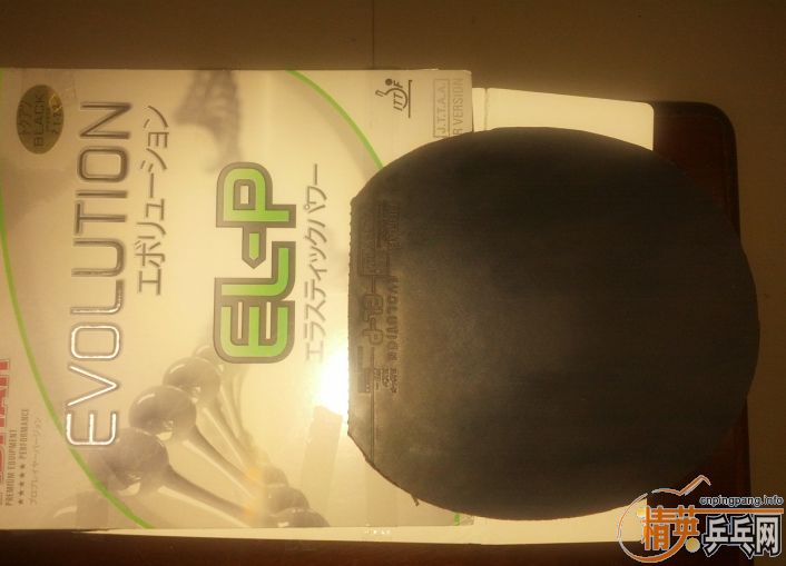 ����ɫͦ�α��elp