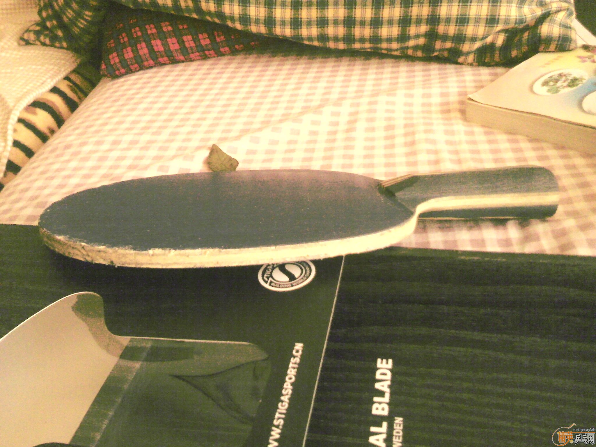 ��ֻõ����-----------------------------------------------------1ֻ��ˮ��