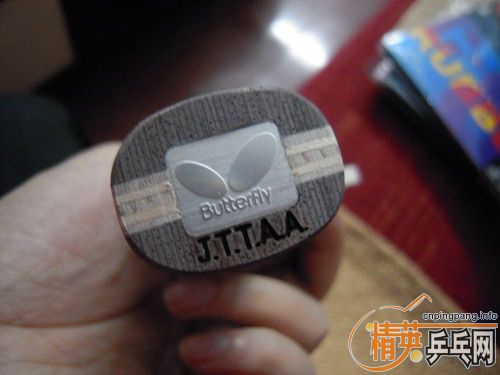 ���հ�ͣ��BUTTERFLY  DEFENCE II ST�����ˣ��ʺϿ����򷨹��ؽ�ϣ�����Ȥ������