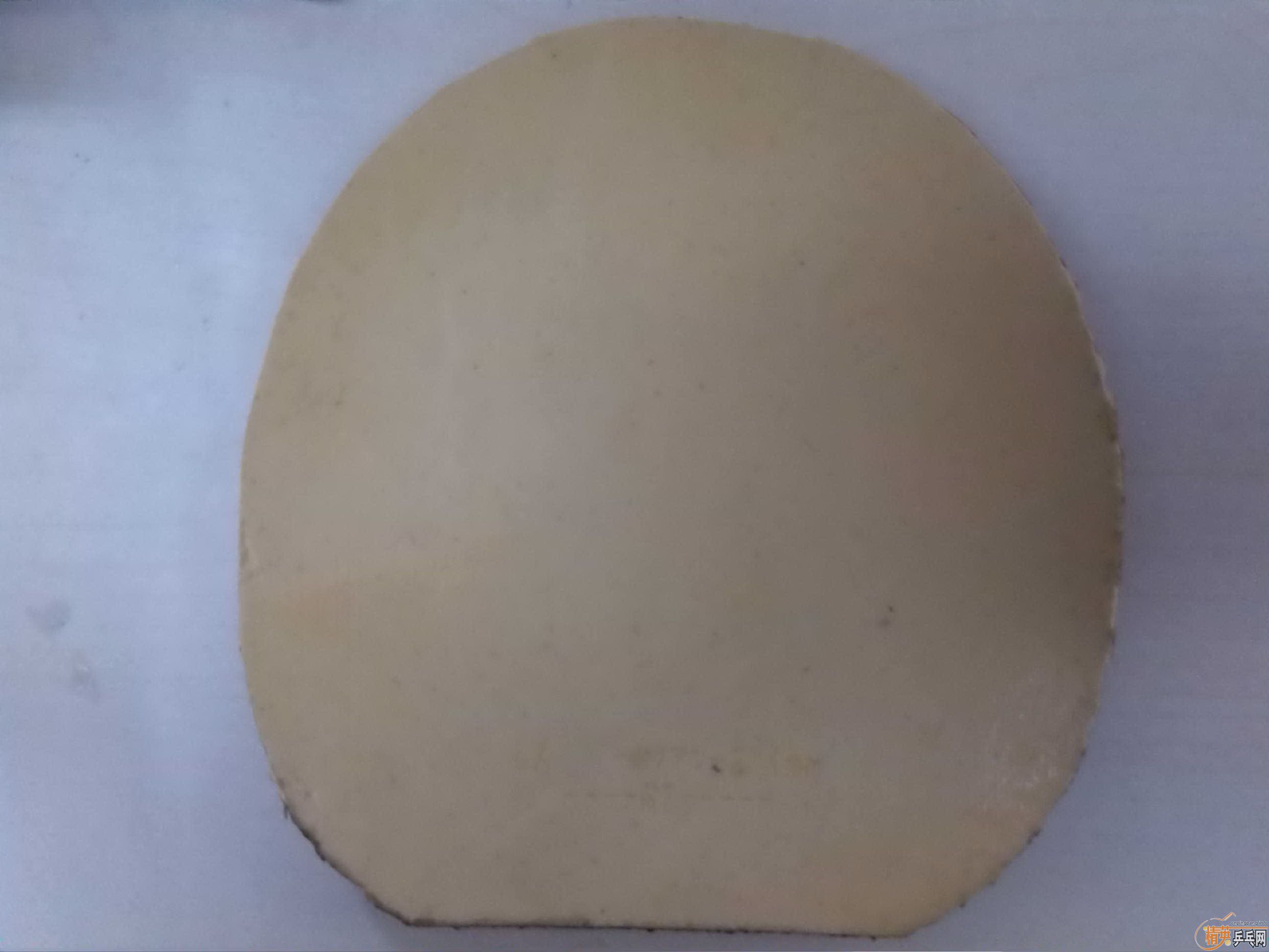 sriver fx 2.1�����2.1��100���ʳ�