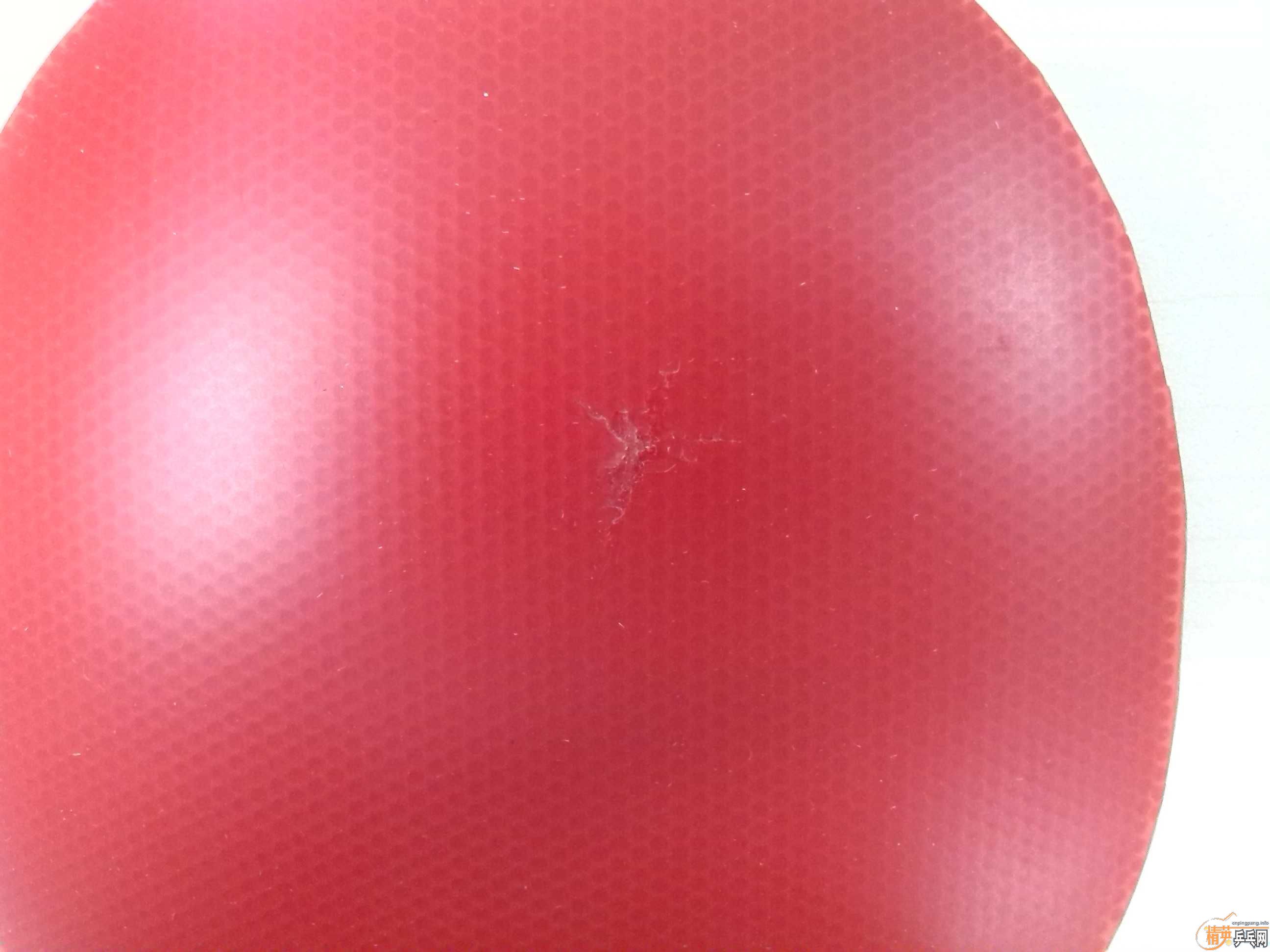 sriver fx 2.1�����2.1��100���ʳ�