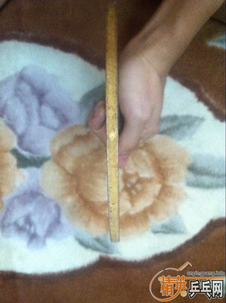 �����ѳ���ɫTSP P4 �����׽�,������1.0,���̳��л����DONIC V3 FL,�����,�Ϲ�320����ͨ