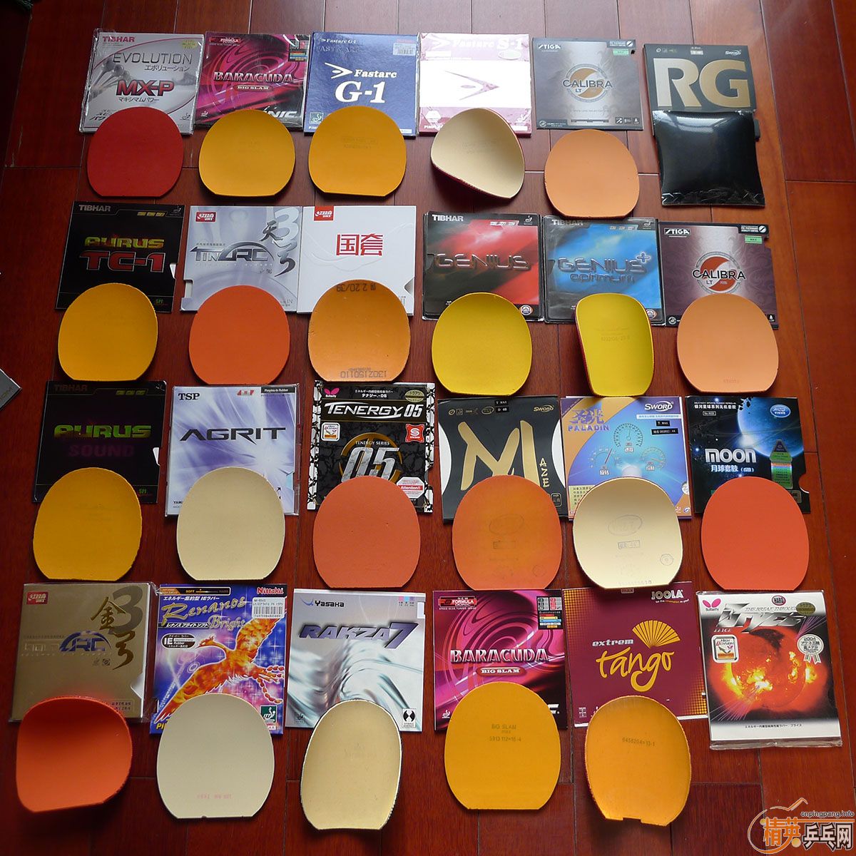 С����Ƕ������ˣ��Ҿ�Ȼ������ô���׽���