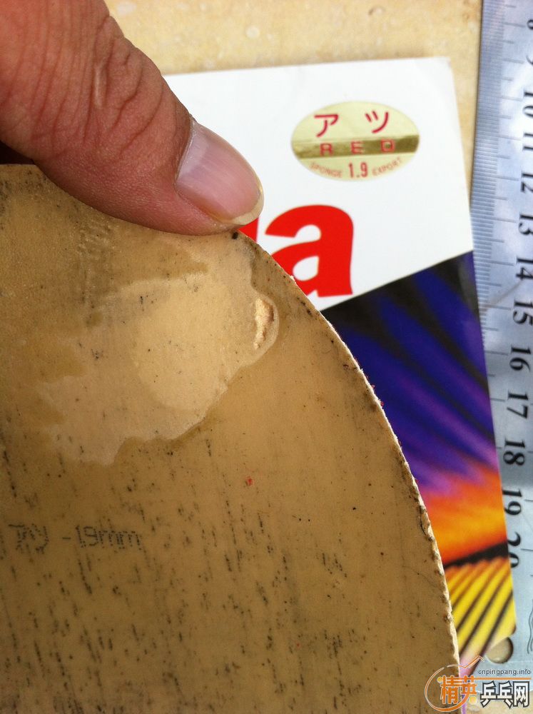 ��ţ���ձ��˳���Ƥ������������t64��tsp�ȣ�