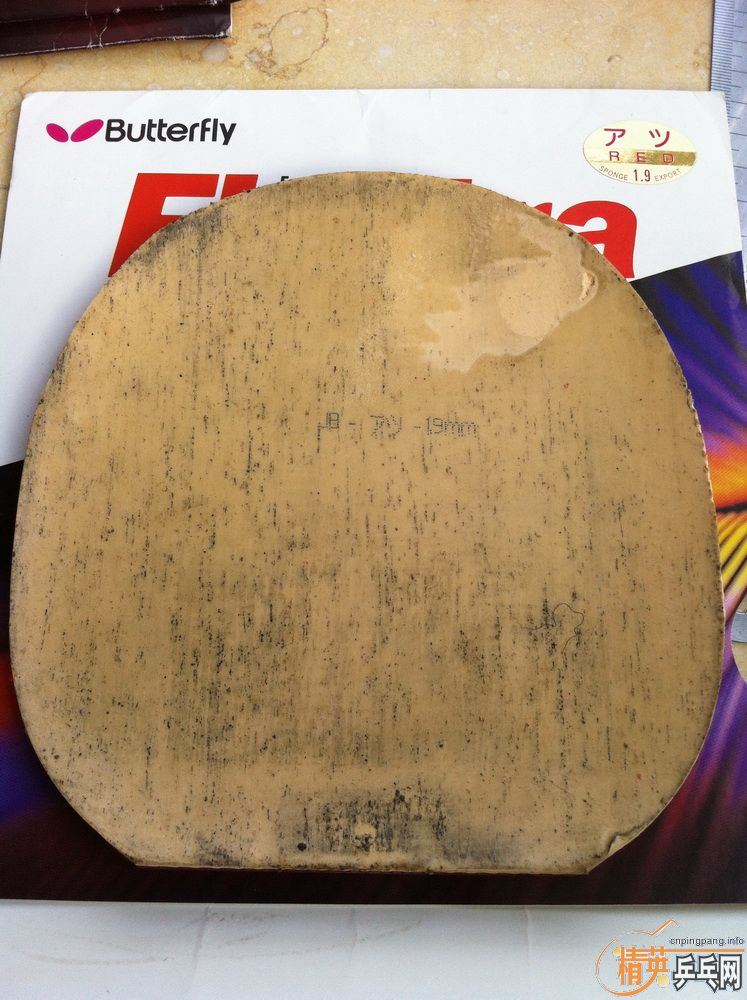 ��ţ���ձ��˳���Ƥ������������t64��tsp�ȣ�