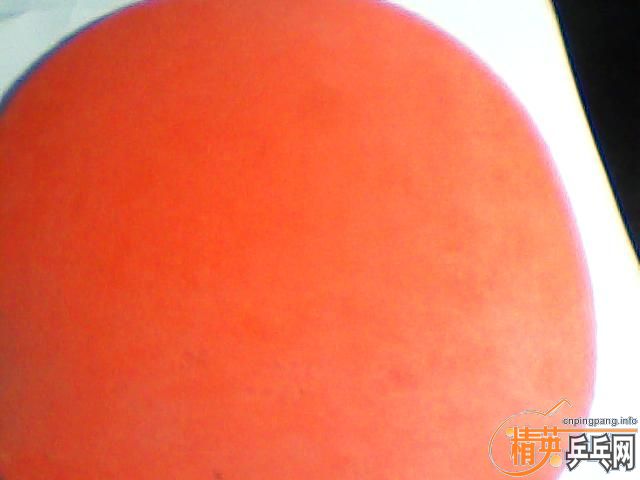 ][ԭ��]֧�������ס������հ沨��ALC����ɫT05����ɫ��ɴ������7����