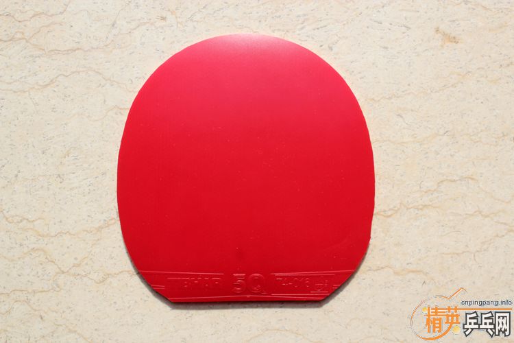 ZKX�س���Ʒ  5Q��ɫ �¸��ף�����������������������������������������������������������������������������������������