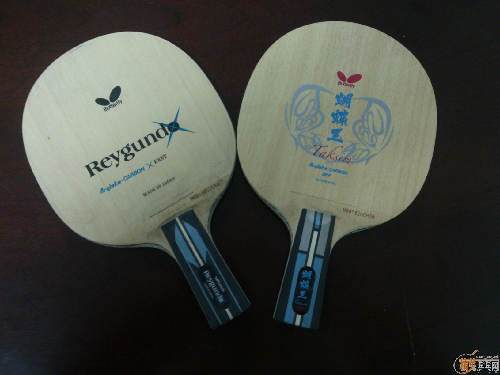 [ת��]���º�������˫�澫ϸ��ʵ�����ƣ��ÿ�Ư�������������·�̼Reygund�������������棩