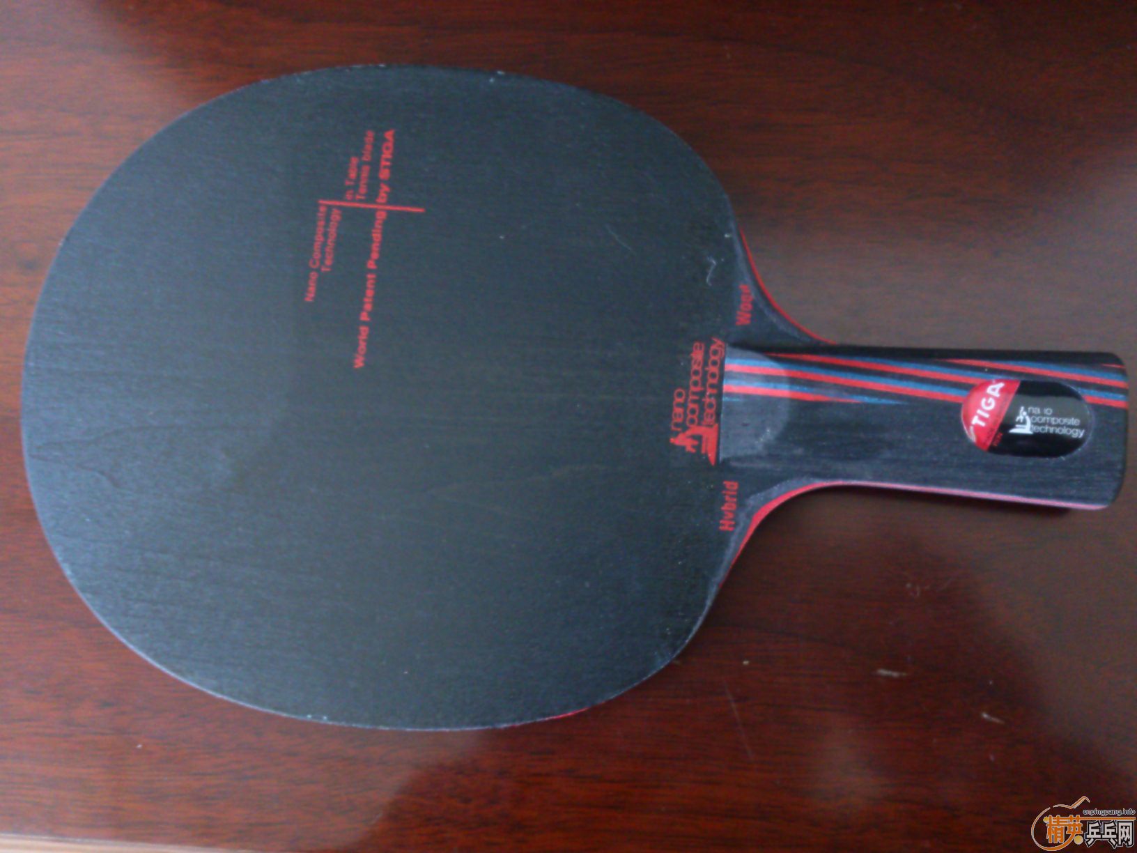 [�Ƽ�]��һֻȫ��ŷ��������̼��