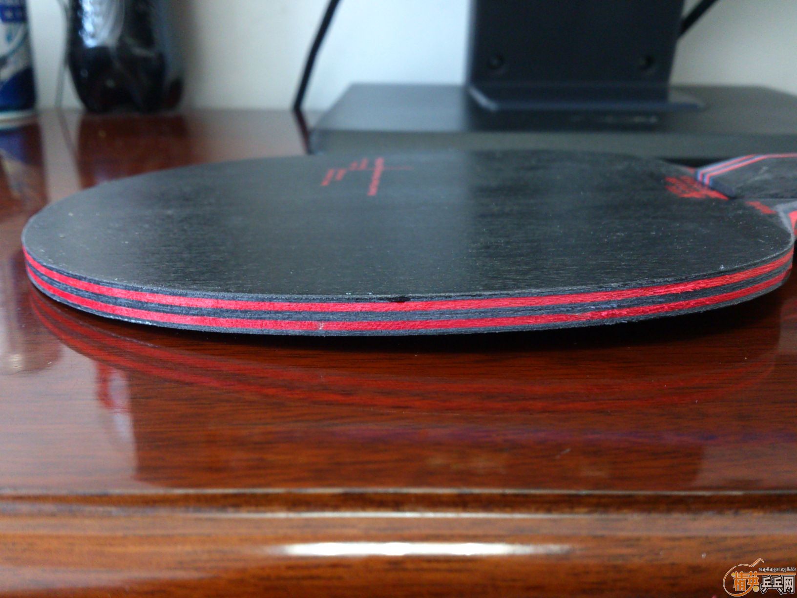 [�Ƽ�]��һֻȫ��ŷ��������̼��