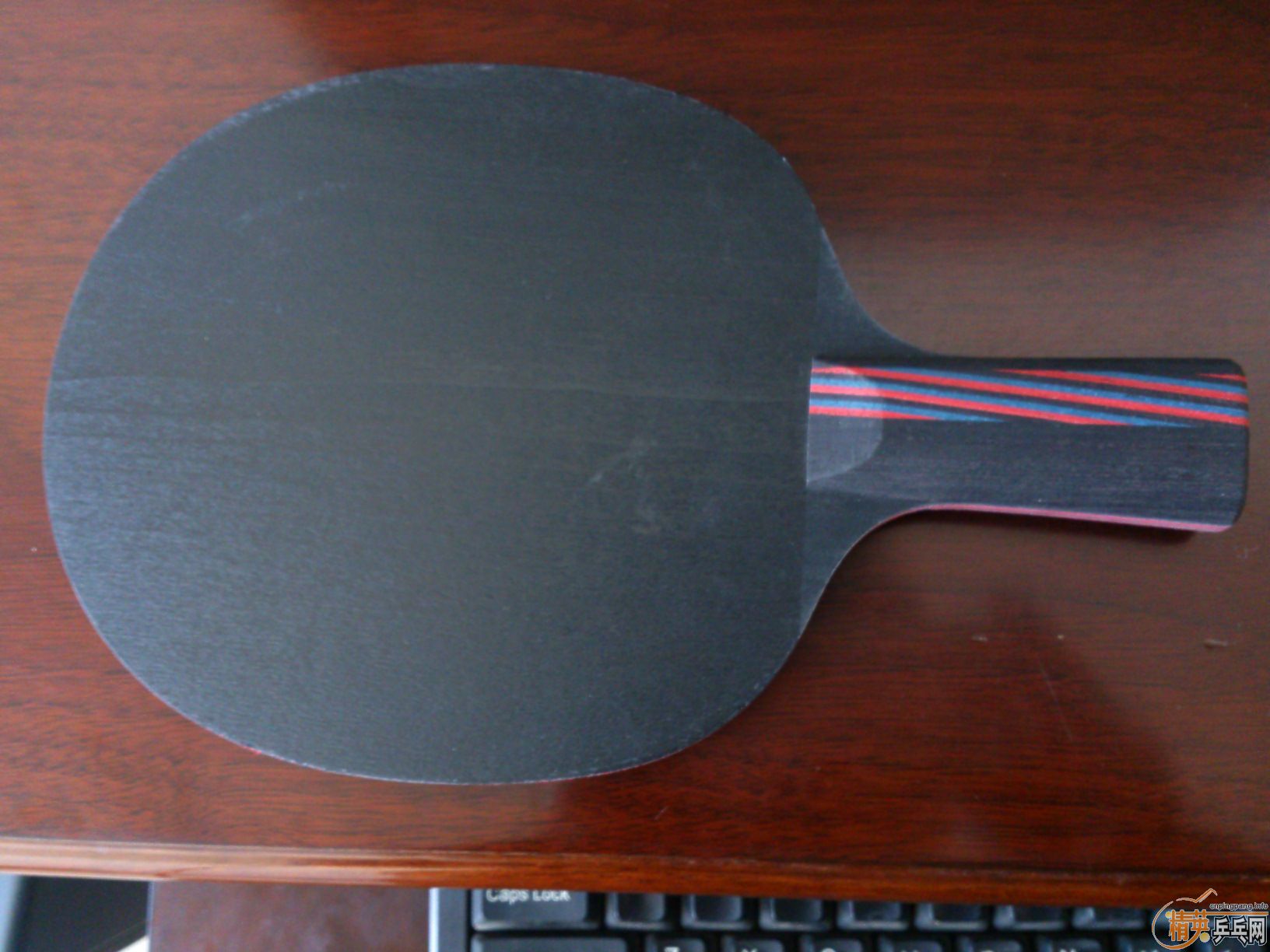 [�Ƽ�]��һֻȫ��ŷ��������̼��