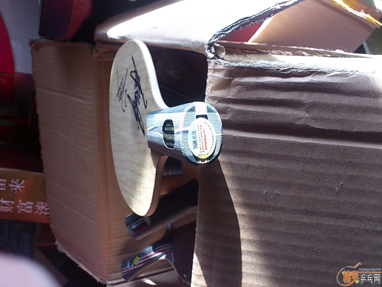 ������������������    �װ岻�� ��������   ��������������