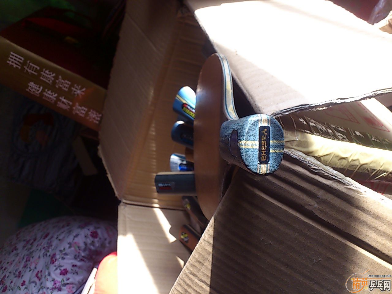 ������������������    �װ岻�� ��������   ��������������