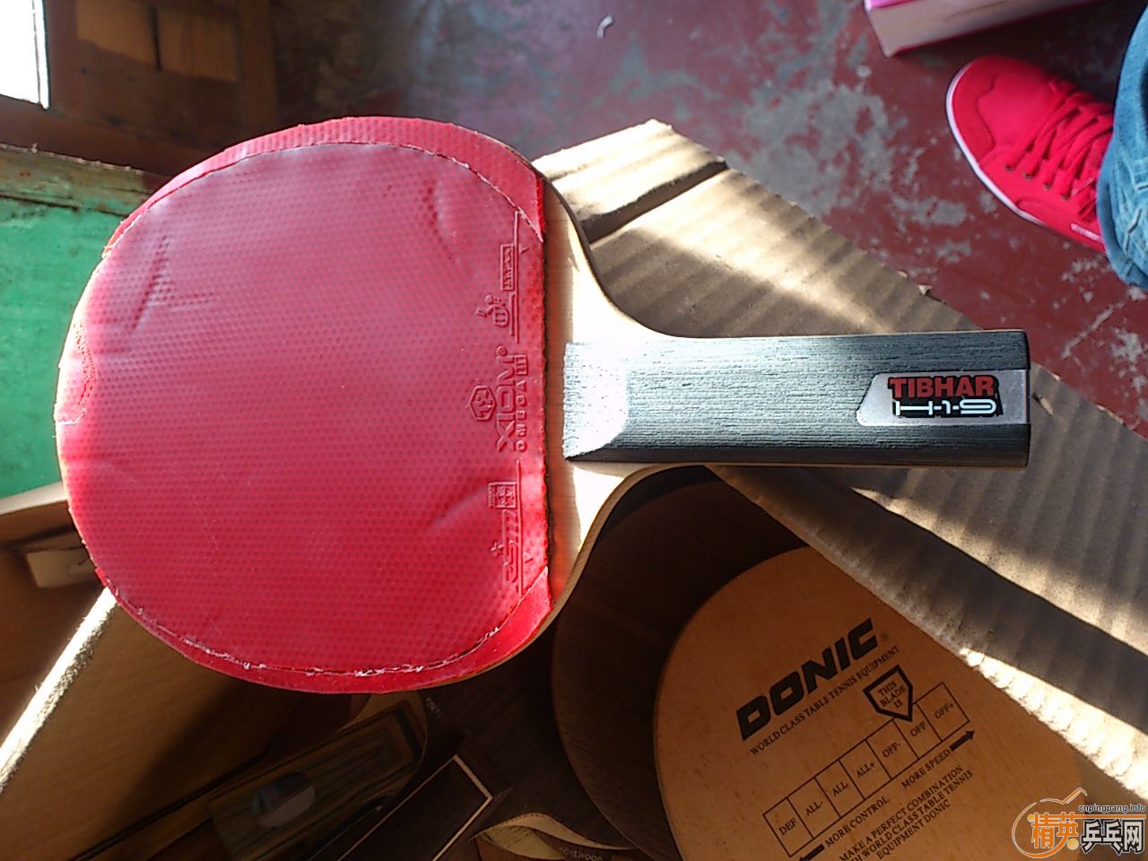 ���������������� �װ岻��   ��������    ��������������