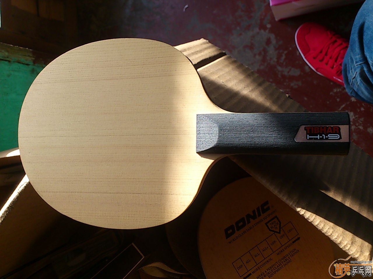 ���������������� �װ岻��   ��������    ��������������