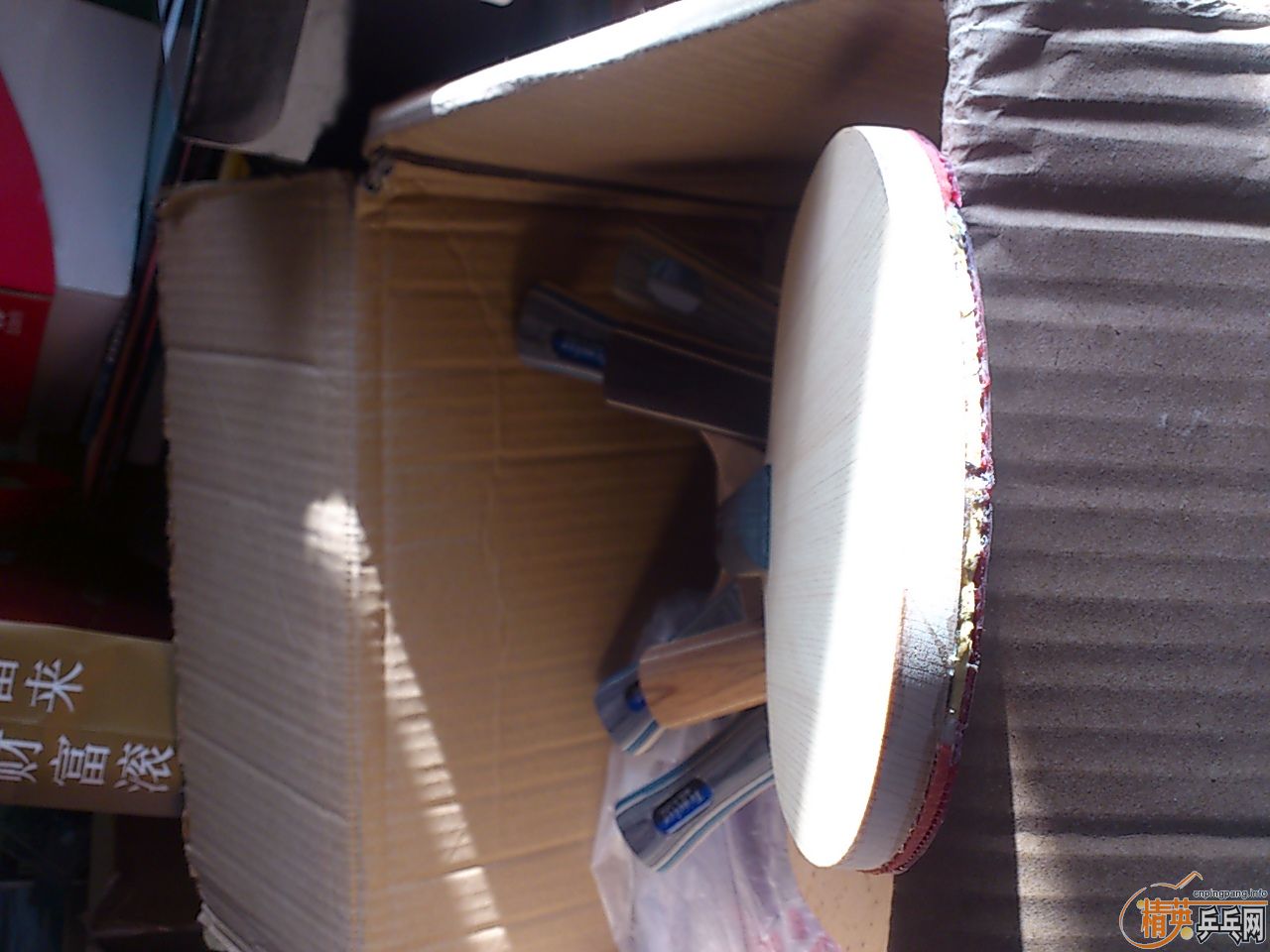 ���������������� �װ岻��   ��������    ��������������