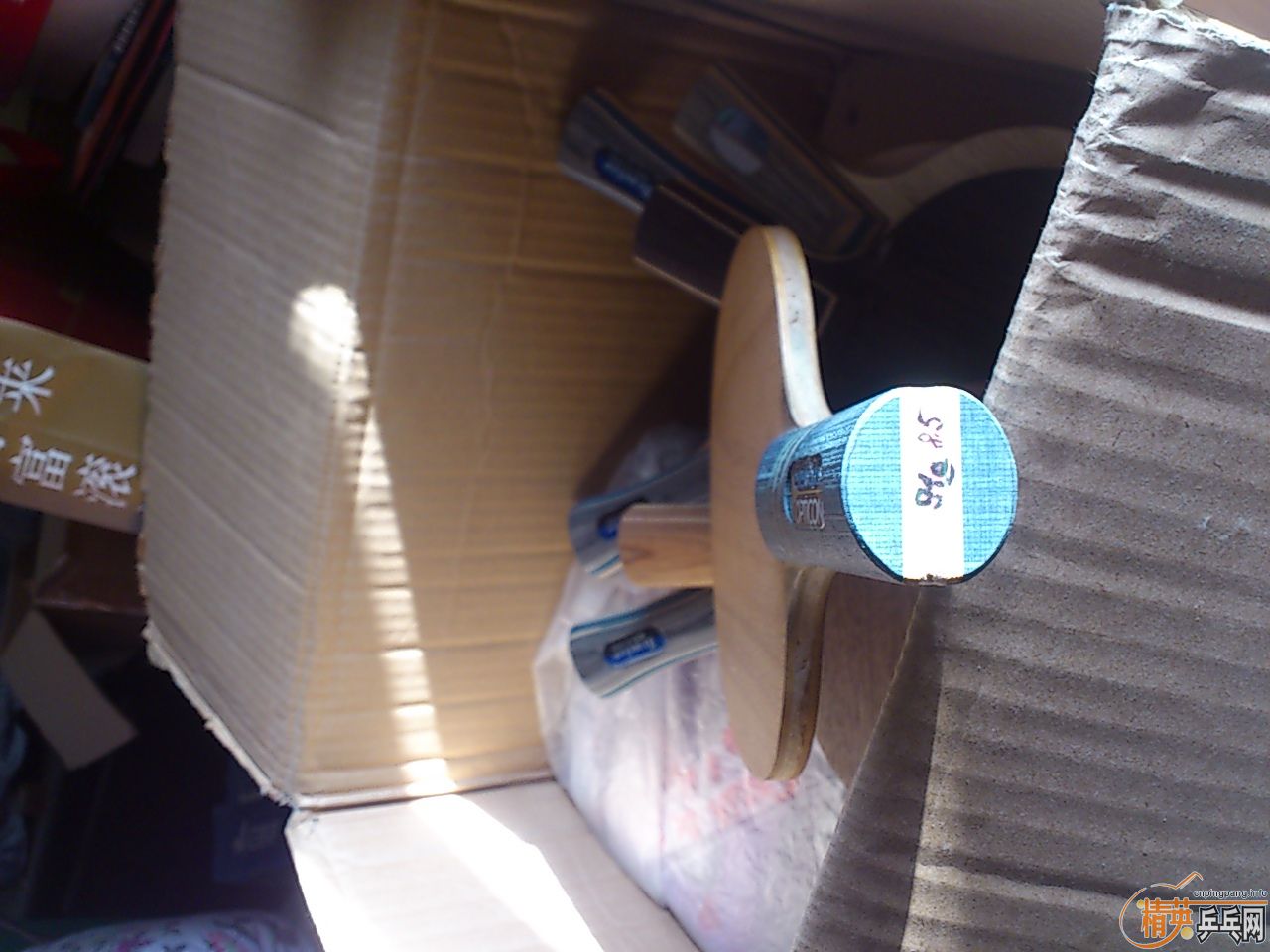 ���������������� �װ岻��   ��������    ��������������