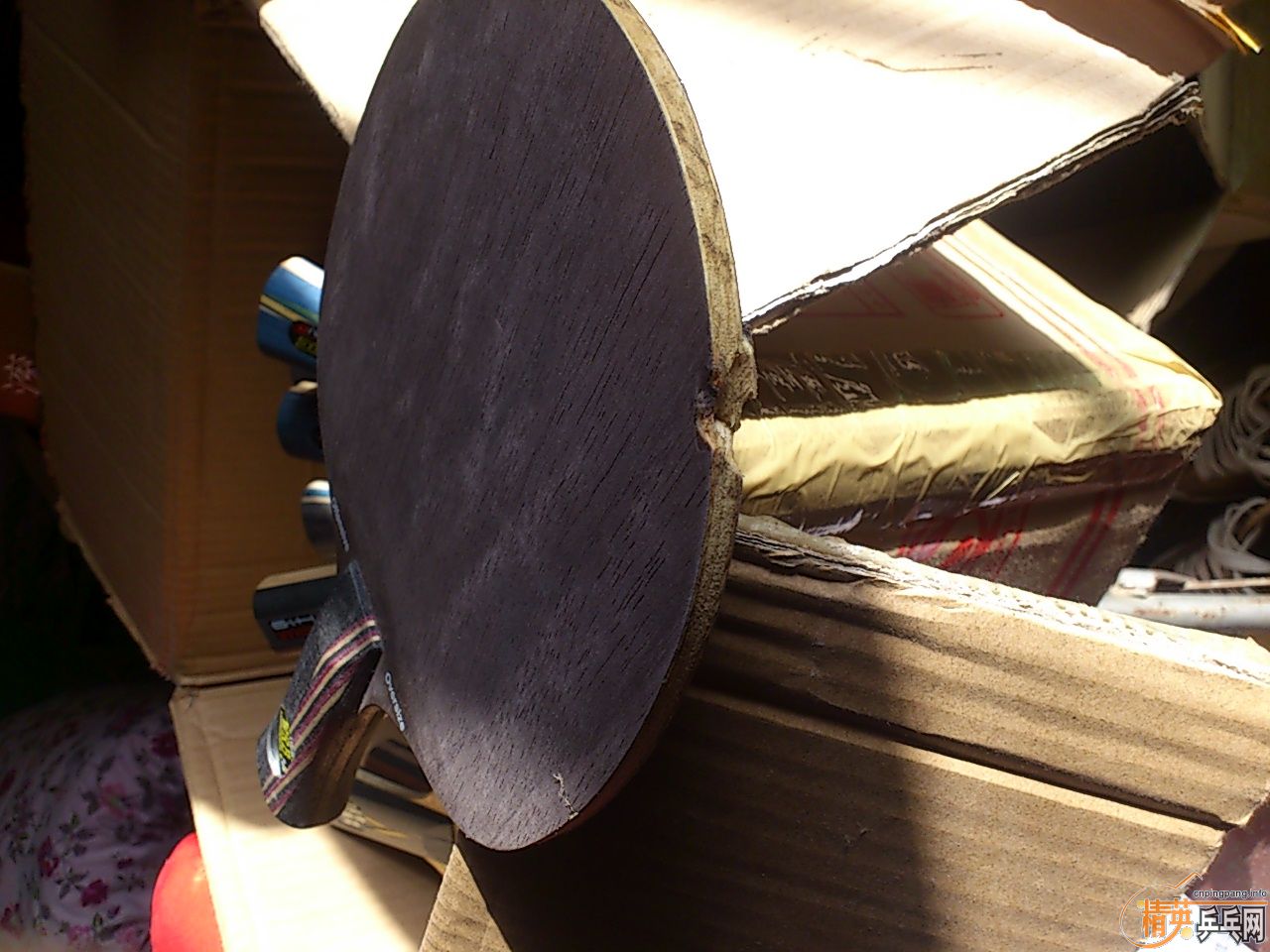 ���������������� �װ岻��   ��������    ��������������