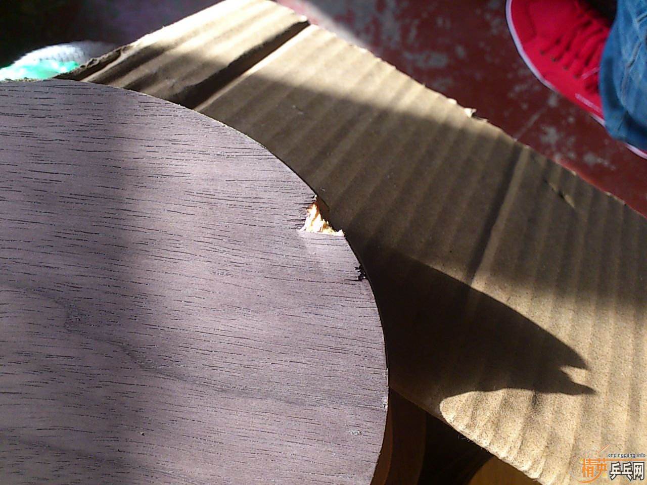 ���������������� �װ岻��   ��������    ��������������