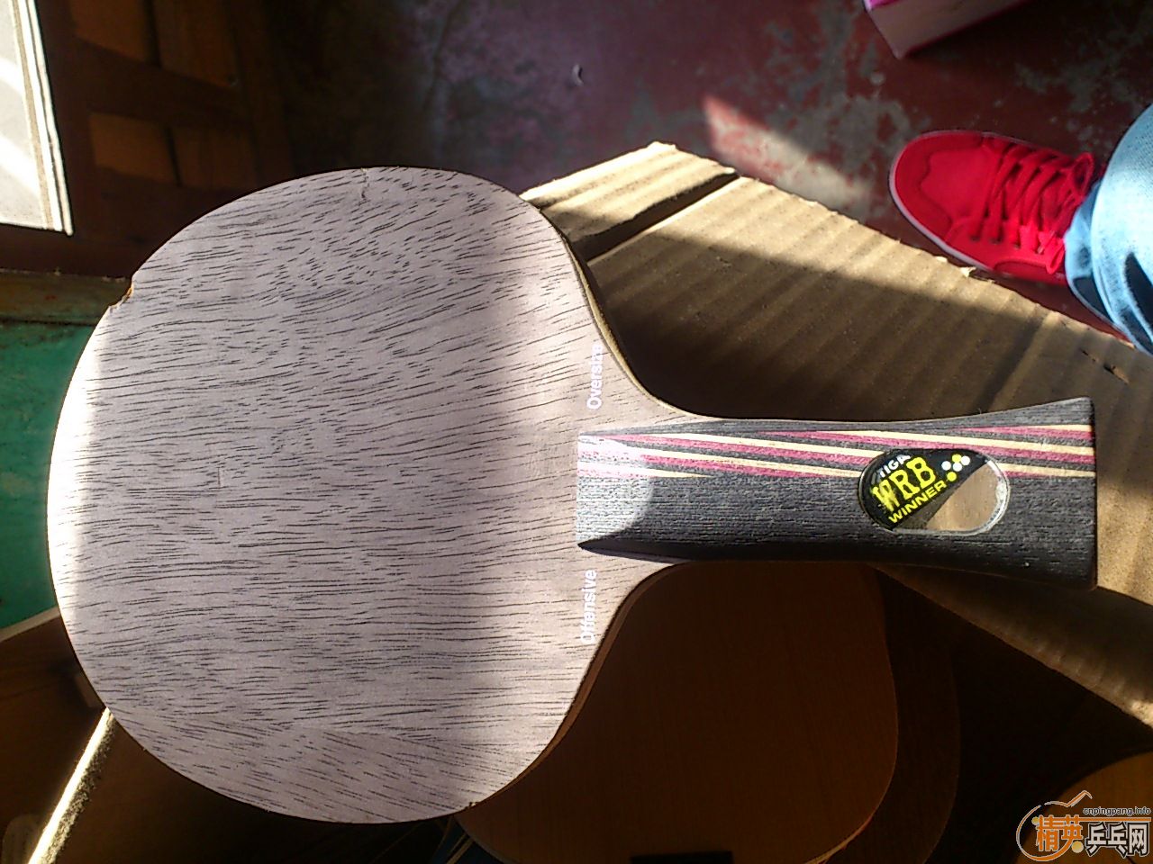 ���������������� �װ岻��   ��������    ��������������