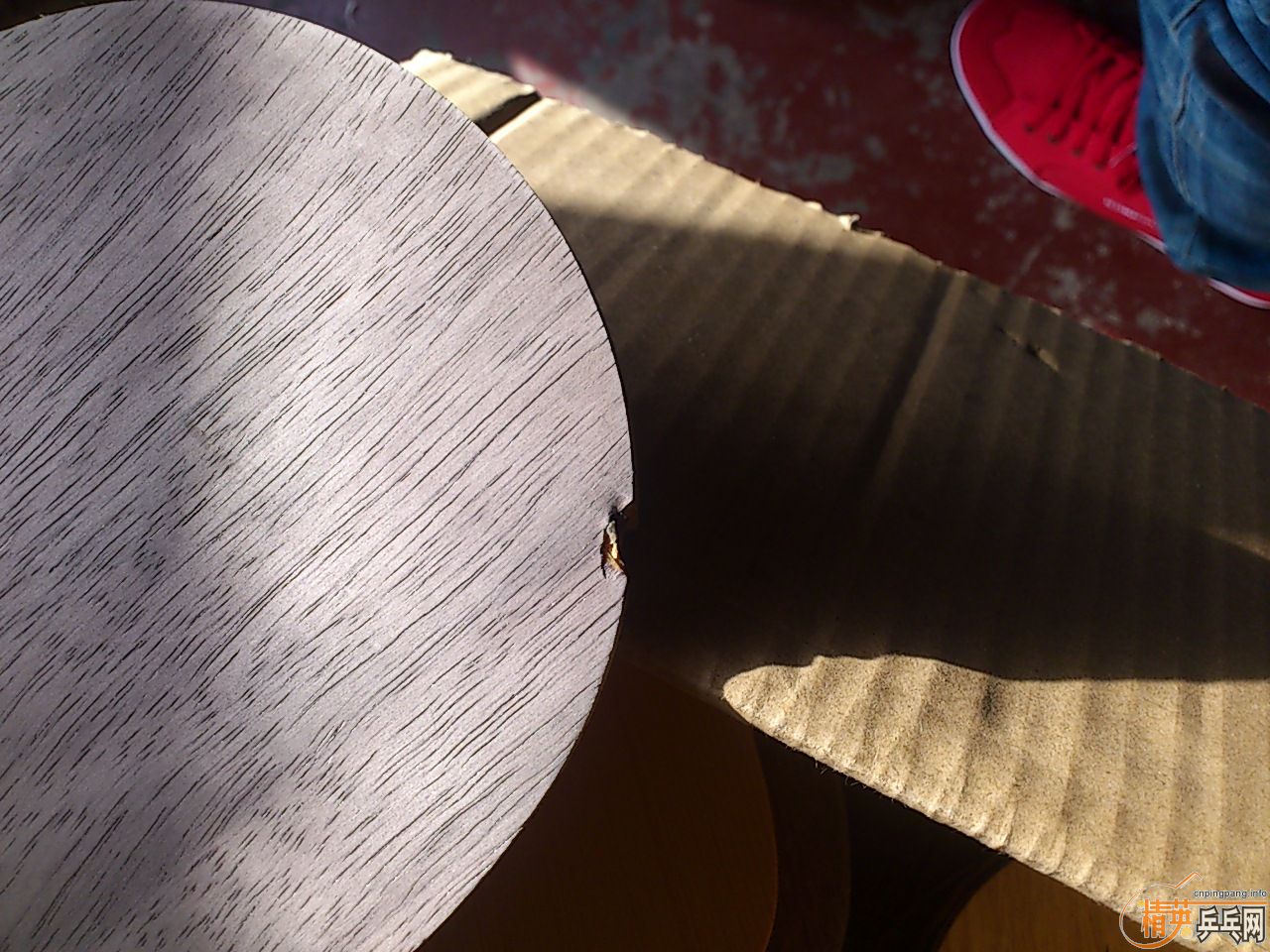 ���������������� �װ岻��   ��������    ��������������