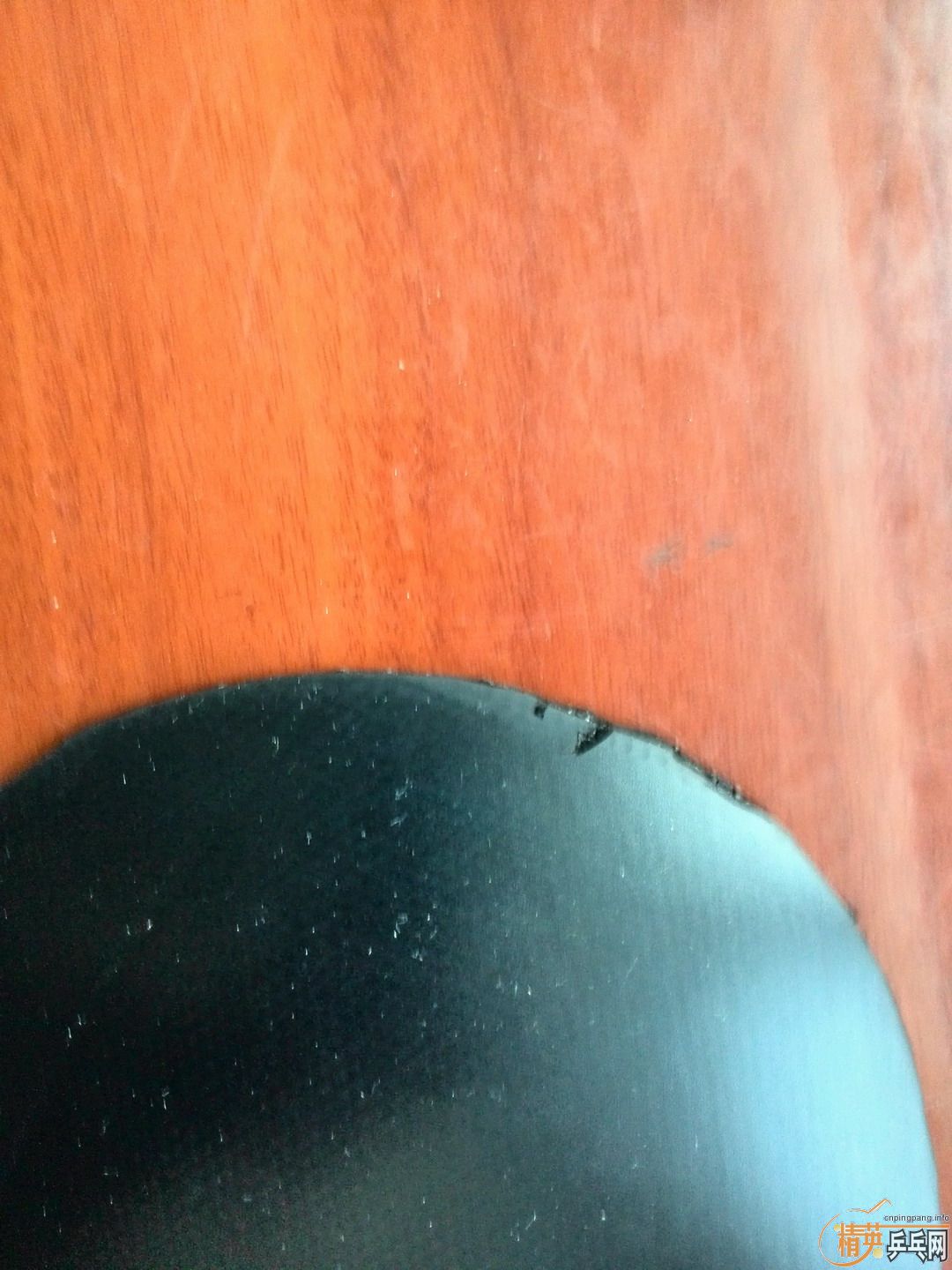 ����ɫֱ���潾��ŷ����4