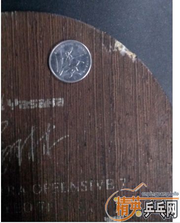 �л�yeo7   240����