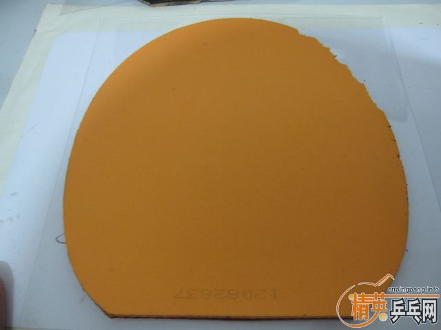 ��wyl777�� NEO������ʡ�� �켫3 ͦ�� һ�� ���3 ���� ���� רҵ�Ӱ��� ��������3 PRO  JOOLA�쳵 TSP ���� ����ѧ�����õı��˽�Ƥ�� ���5Ԫ�� ���80Ԫ