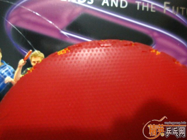 ��wyl777�� NEO������ʡ�� �켫3 ͦ�� һ�� ���3 ���� ���� רҵ�Ӱ��� ��������3 PRO  JOOLA�쳵 TSP ���� ����ѧ�����õı��˽�Ƥ�� ���5Ԫ�� ���80Ԫ