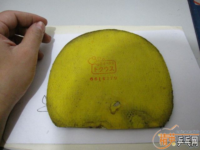 ��wyl777�� NEO������ʡ�� �켫3 ͦ�� һ�� ���3 ���� ���� רҵ�Ӱ��� ��������3 PRO  JOOLA�쳵 TSP ���� ����ѧ�����õı��˽�Ƥ�� ���5Ԫ�� ���80Ԫ