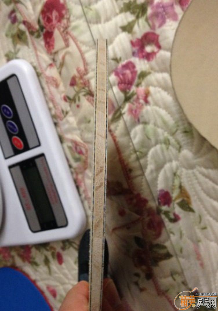 ~~~�������ż̿� ��86-87G��~