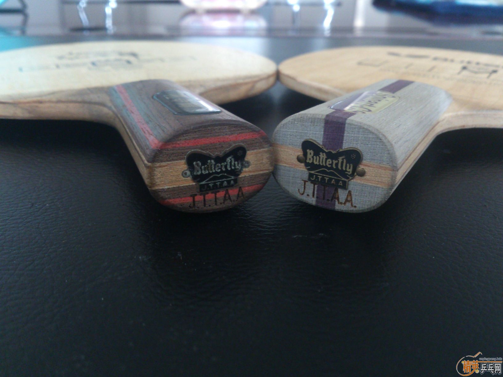 [ת��]�����2ֻ������������