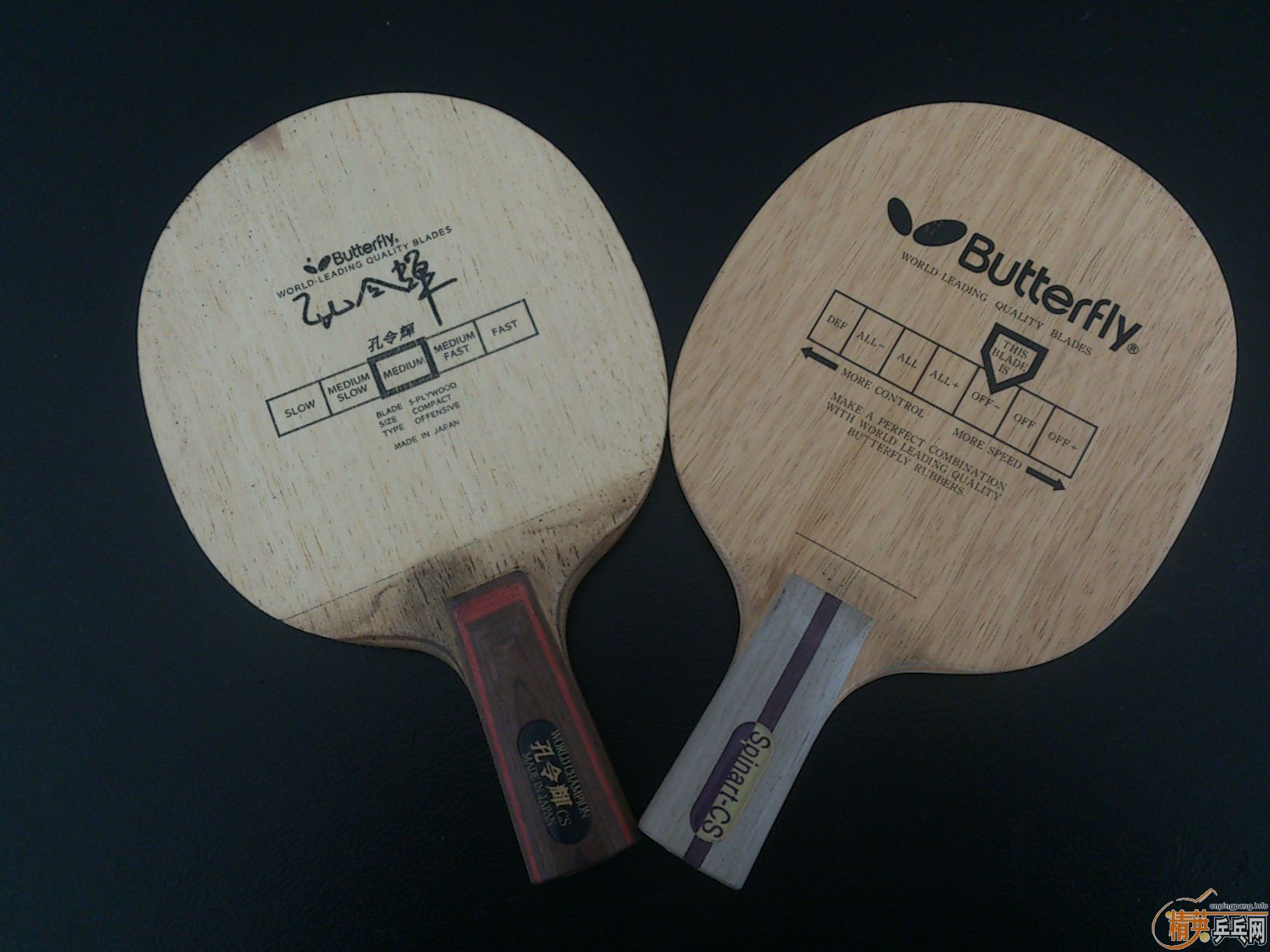 [ת��]�����2ֻ������������